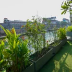 DSC01383-4