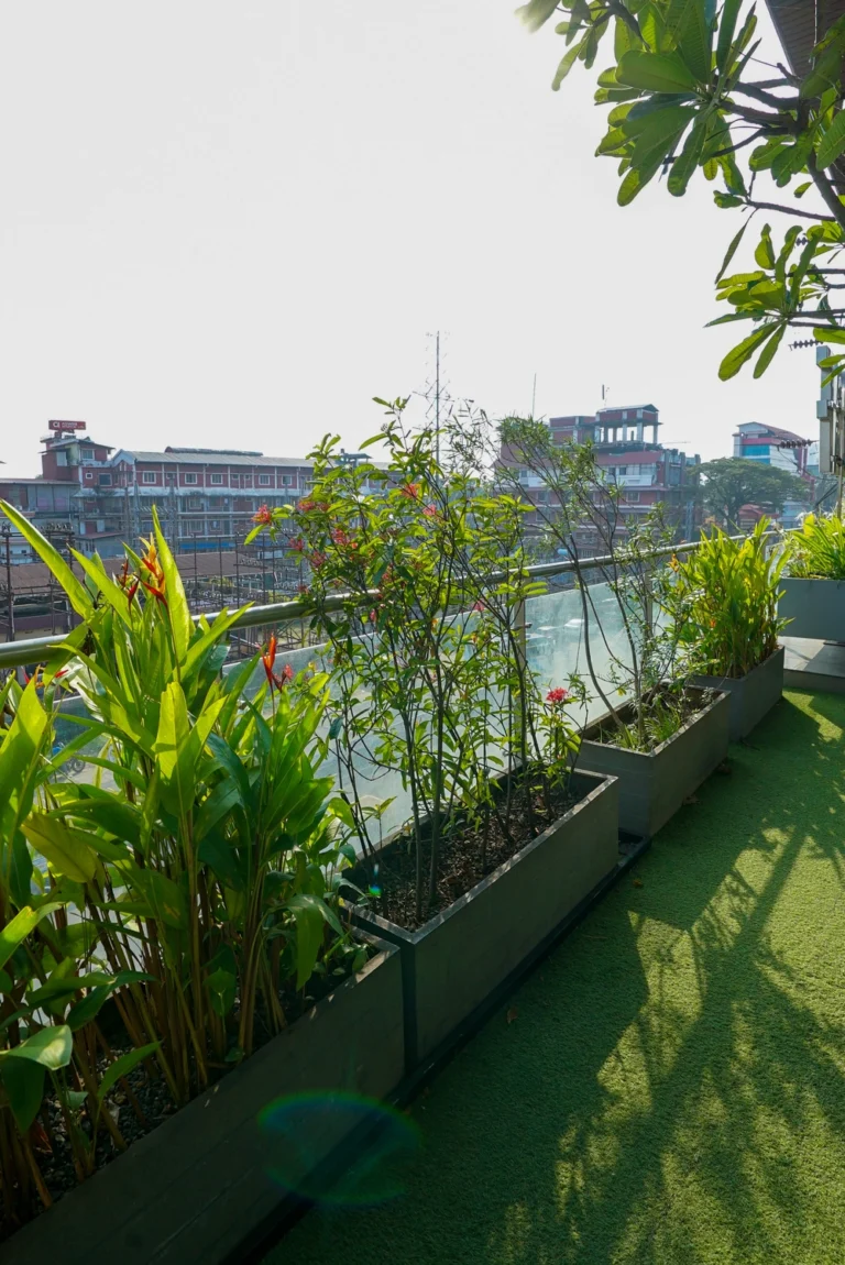 Looking to Elevate Your Space with Stylish and Functional Architectural Elements?